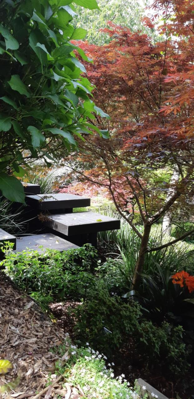 Sequoia Steps Bed and Breakfast New Plymouth Eksteriør billede